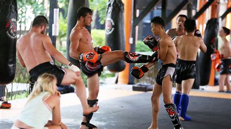 tiger muay thai training camp in phuket muay thai thai boxing fitness and co in the wolds