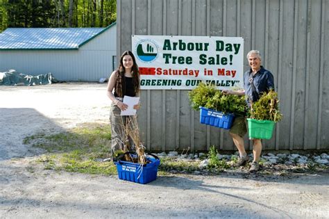 Native Tree And Shrub Seedlings Available At Annual Arbor Day Tree Sale