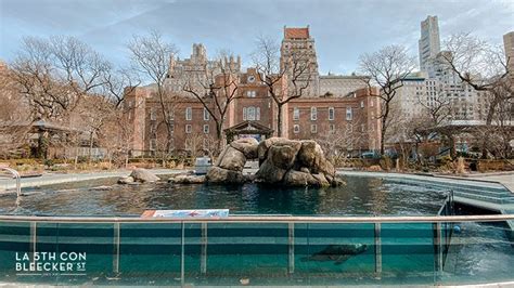 GUÍA El zoo de Central Park Turismo en Nueva York sin complicarse