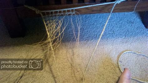 Bearded dragon hammock refers to a simple bed made through hanging made from fiber grass or canvas between two poles or high points. DIY Reptile hammock (pic heavy) • Bearded Dragon . org | Diy reptile, Reptiles, Diy beard