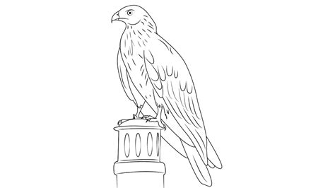 Red Kite Bird Sketch Drawing Easy How To Draw A Simple Red Kite