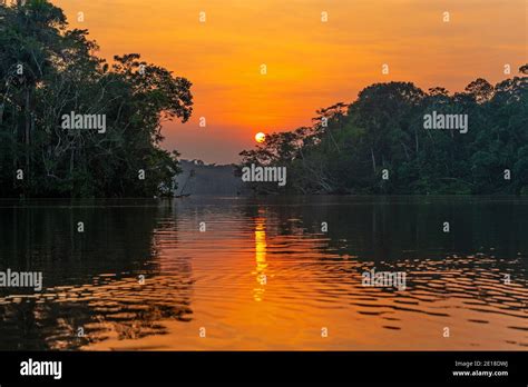 Sunset Reflection In The Amazon Rainforest The Amazon River Basin