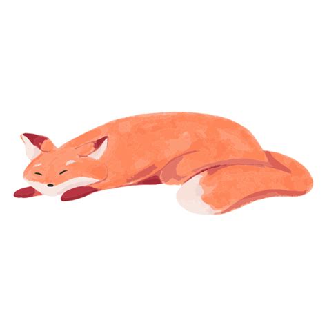 Watercolor Fox Png