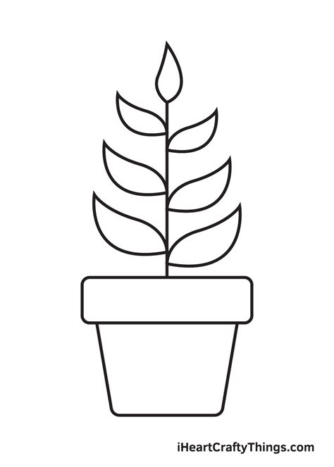 Plant Drawing — How To Draw A Plant Step By Step