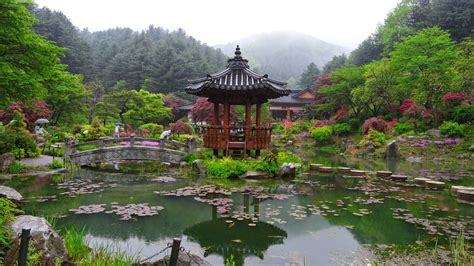 Garden Of Morning Calm Gapyeong Korea
