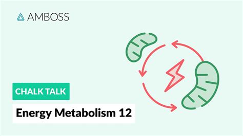 Energy Metabolism Part 12 Ketone Body Metabolism Youtube