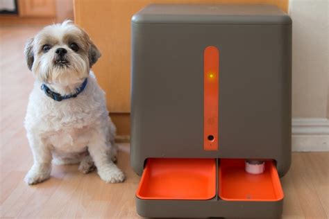 Easyfeed Automatic Pet Feeder 15 Minute News