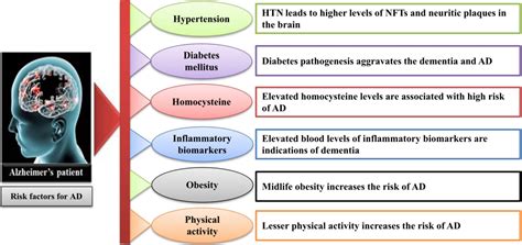 Frontiers Nanomedicine A Promising Way To Manage Alzheimers Disease