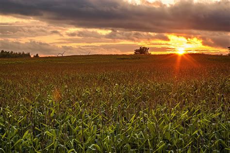 Sunset Over The Fields Of Corn Rjs68 Flickr