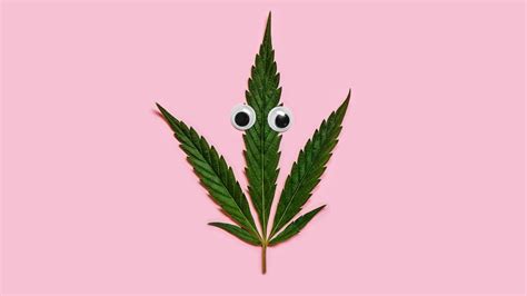 Why Smoking Cannabis Causes Red Eyes And What To Do About It Budderweeds