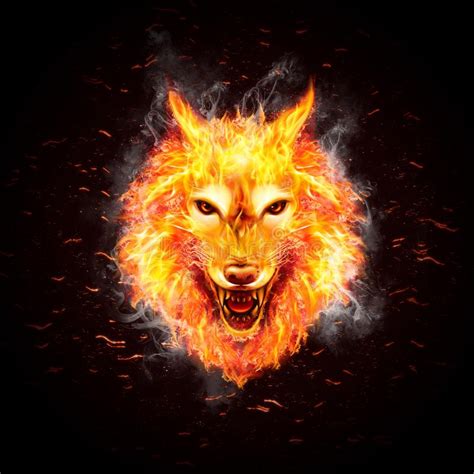 Fire Wolf Stock Vector Illustration Of Isolated Orange 30538598