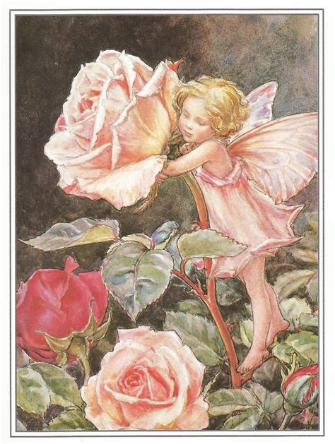 The Rose Fairy Cicely Mary Barker Flower Fairies Vintage Print Etsy