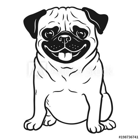 Pug Dog Black And White Hand Drawn Cartoon Portrait Funny