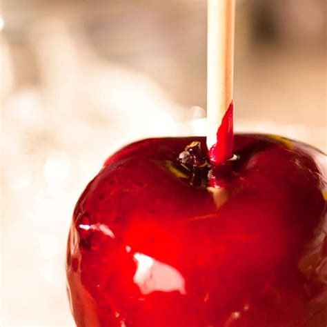 Carnival Fair Circus Food Photo Candy Apple Red 8x8 Etsy