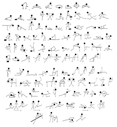 Exercise Stretching Chart Printable Search Results