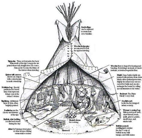 Information And Facts On Teepees Native American History Native