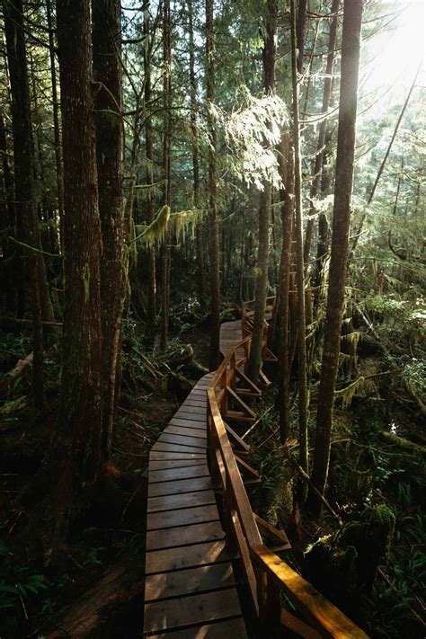 17 Epic Things To Do In Tofino Bc In 2023 The Mandagies British