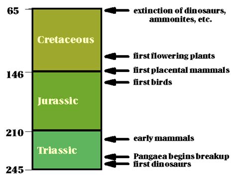 Stratigraphy Of The Mesozoic Era