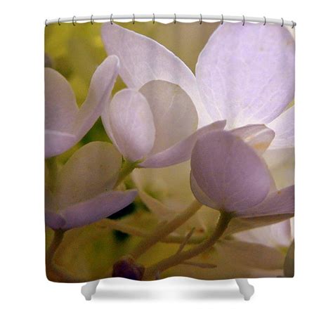 Pastel Purple Pleasure Shower Curtain For Sale By Lisa Wooten Photography Prints Art Floral