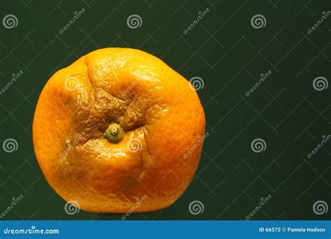 Orange Gone Bad Stock Photo Image Of Object Orange Fruit 66572