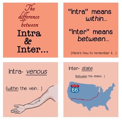 how to remember the difference between intra and inter coolguides