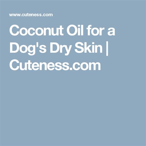 Coconut Oil For A Dogs Dry Skin Dog Dry Skin Coconut