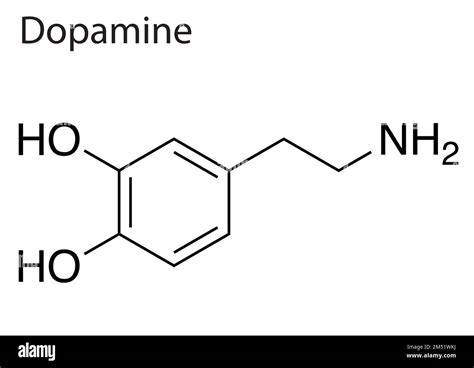 A Chemical Formula Structure Of Dopamine On White Background Stock