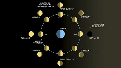44 Rotation Of The Earth Causes Day And Night Diagram