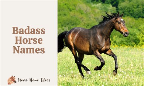 400 Badass Horse Names