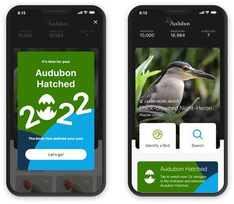 Introducing Audubon Hatched Your Year Of Birding In Review Audubon
