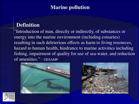 Ppt Marine Pollution Powerpoint Presentation Free Download Id1622393