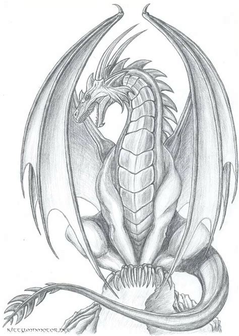 40 Best Collections Pencil Full Body Dragon Drawing Easy Karon C Shade