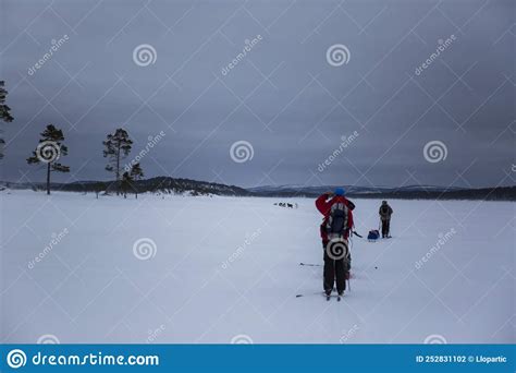 Ski Expedition In Inari Lake Lapland Finland Editorial Photography