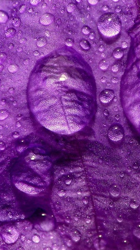 Lilac Iphone Wallpapers Top Những Hình Ảnh Đẹp