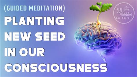 Planting New Seed In Our Consciousness Guided Meditation Great