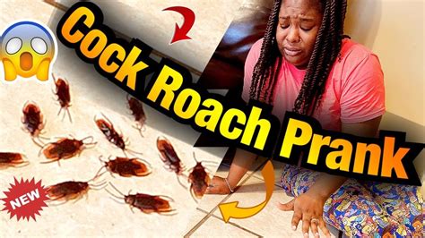 Cock Roach Prank On My Wife Youtube