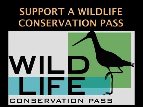 Support A Wildlife Conservation Pass Ppt Download