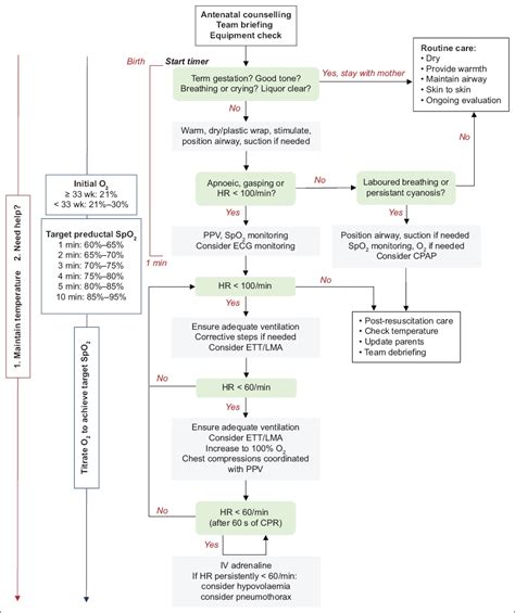 Neonatal Resuscitation Updated Guidelines From The 45 Off