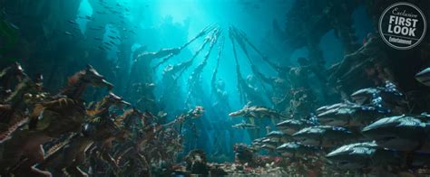 Aquaman Image Reveals Saddled Sharks Seadragons And More Collider