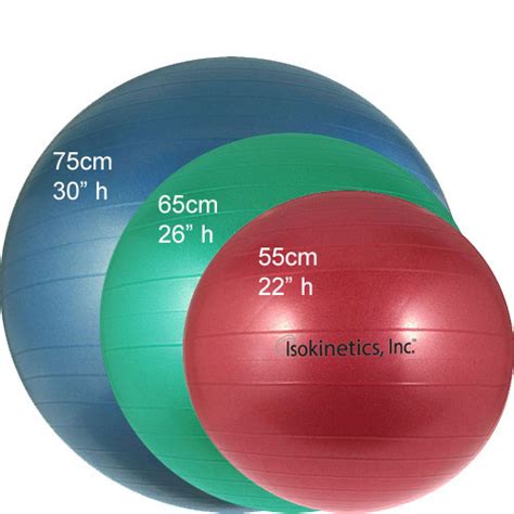 Exercise Balls The Ultimate Guide Topme