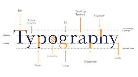 Anatomy Of Typeface Characters