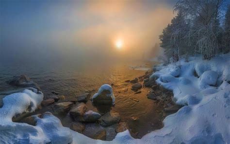 2500x1563 Nature Landscape Creeks Sunrise Forest Snow Frost Mist Cold
