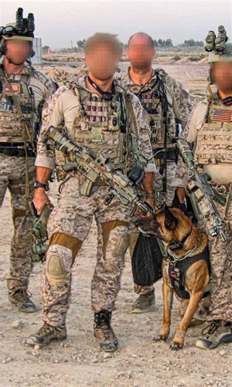 DEVGRU Military Special Forces Navy Seals Special Forces