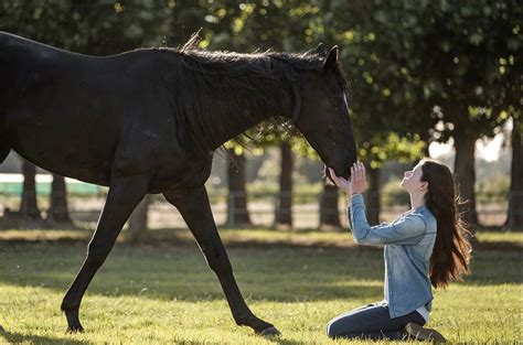 Join us as we discuss the hindi film black. Black Beauty Review: Disney+ Movie Leans Into the Horse ...