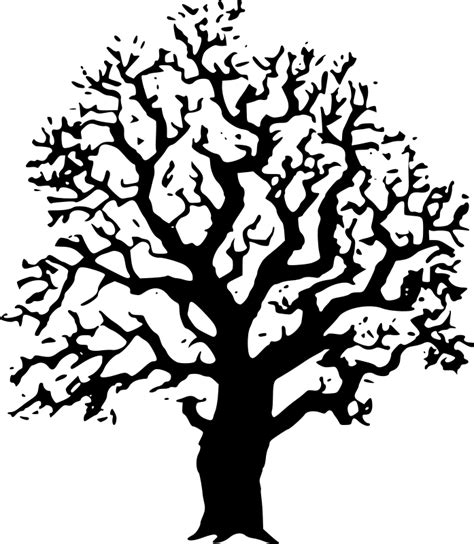Tree Black And White Oak Tree Clipart Black And White Free Images 2