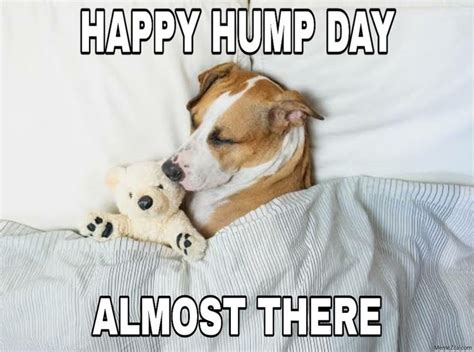 Happy Hump Day Almost There Meme
