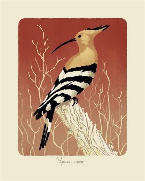 Hoopoe By Chris Turnham Hoopoe Bird Red Crowned Crane World Birds In