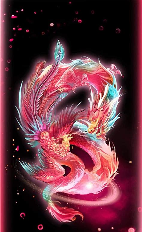 Phoenix Dragon Dragon Pheonix Super Hd Phone Wallpaper Peakpx