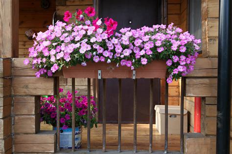 When shopping for window box brackets for railings, be sure to take down the exact dimensions of your rail and note any considerations for vertical balusters, decorative embellishments, or architectural elements that might interfere. 40 Window and Balcony Flower Box Ideas (PHOTOS)