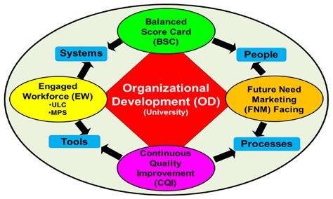 Organizational Development Process Model